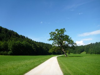 P1050699
