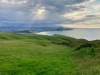 IMG_9448