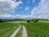 IMG_9467