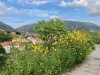 IMG_9482