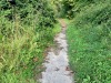 IMG_9497