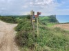 IMG_9537
