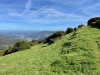 IMG_0073