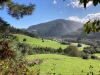 IMG_9779