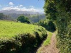 IMG_9812