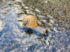 IMG_9886